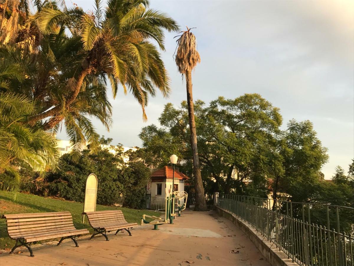 Lavra Tram Apartment Lisboa Εξωτερικό φωτογραφία