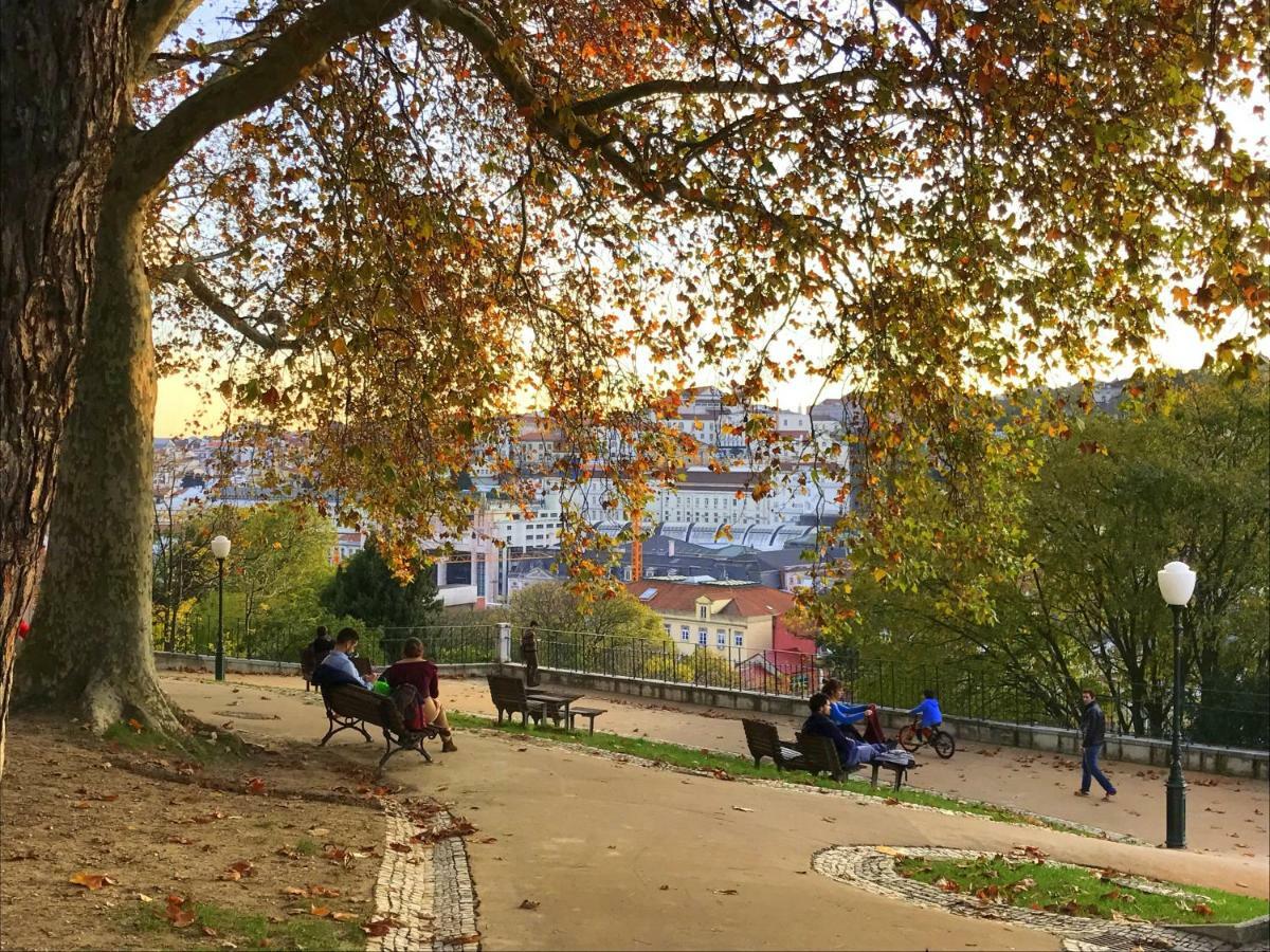 Lavra Tram Apartment Lisboa Εξωτερικό φωτογραφία